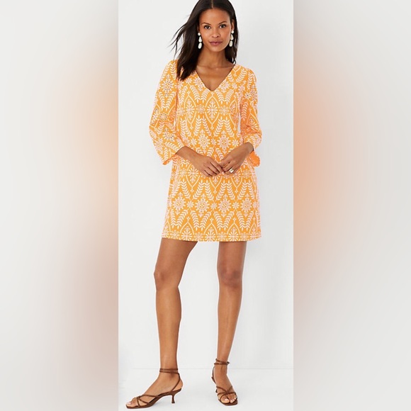 Ann Taylor Eyelet Dress - Picture 3 of 7